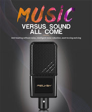 Load image into Gallery viewer, Professional Karaoke Microphone