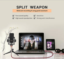 Load image into Gallery viewer, Professional Karaoke Microphone