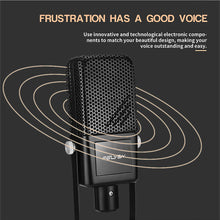 Load image into Gallery viewer, Professional Karaoke Microphone