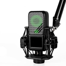 Load image into Gallery viewer, Professional Karaoke Microphone