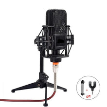 Load image into Gallery viewer, Professional Karaoke Microphone