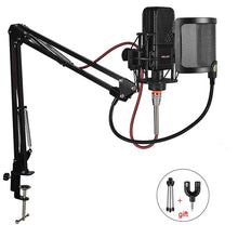 Load image into Gallery viewer, Professional Karaoke Microphone