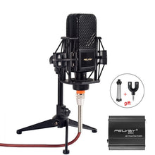 Load image into Gallery viewer, Professional Karaoke Microphone