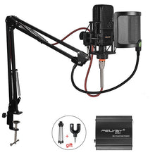 Load image into Gallery viewer, Professional Karaoke Microphone