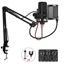 Load image into Gallery viewer, Professional Karaoke Microphone