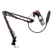 Load image into Gallery viewer, Studio-Condenser-Microphone.jpg