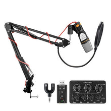 Load image into Gallery viewer, Studio-Condenser-Microphone.jpg